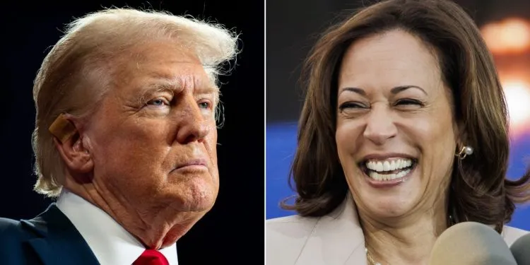 Kamala Harris and Donald Trump