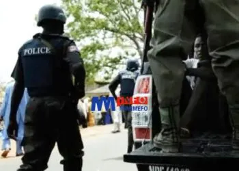 État de Borno : Arrestation de 97 suspects pour meurtre et vandalisme lors des manifestations nationales