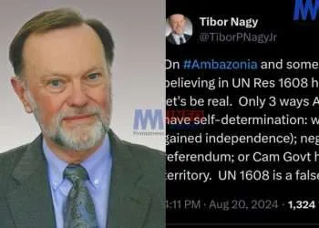 UN Resolution 1608 is a false god - Tibor Nagy