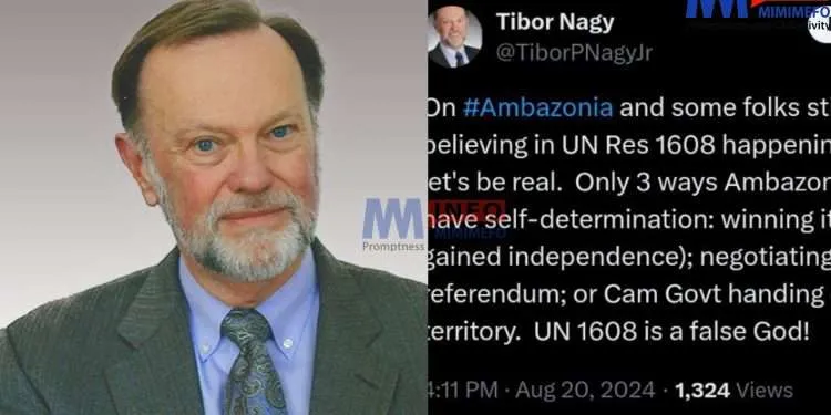 UN Resolution 1608 is a false god - Tibor Nagy