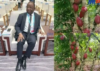 Cocoa Prices influcence cost of chocolate