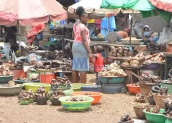 Mabeta Smoked fish market in south west cameroon(photo credit;Aminateh Nkemngu)