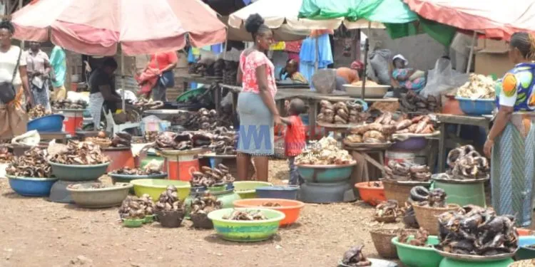 Mabeta Smoked fish market in south west cameroon(photo credit;Aminateh Nkemngu)