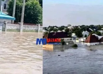 Maidugouri