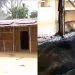 Separatist fighters attack community, burn chief and wife