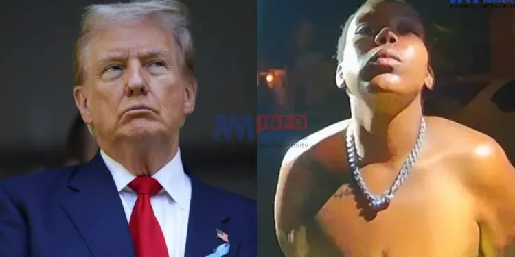 Trump's false allegations about migrants debunked