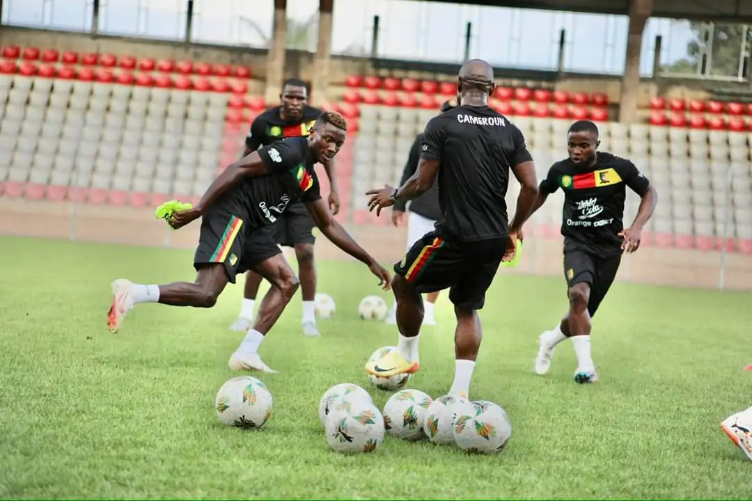 Lions indomptables 