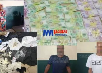 Interpellation de Faussaires de Monnaie à Tsinga