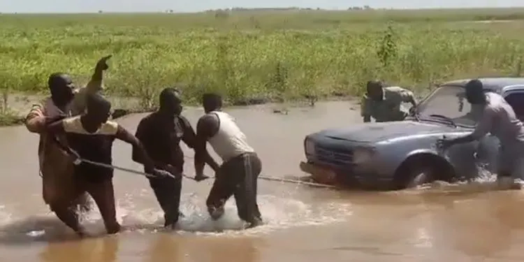 Inondations au Logone-et-Chari : populations en détresse