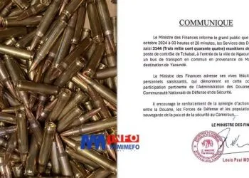 Saisie de Munitions de Guerre par la Douane Camerounaise à Tchabal