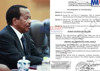Biya makes key diplomatic changes