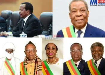 Cameroon's contitutional provisions in case of a vacancy