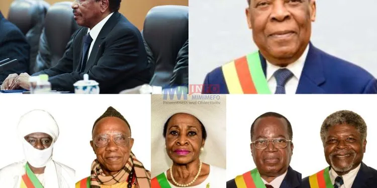 Cameroon's contitutional provisions in case of a vacancy