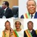 Cameroon's contitutional provisions in case of a vacancy