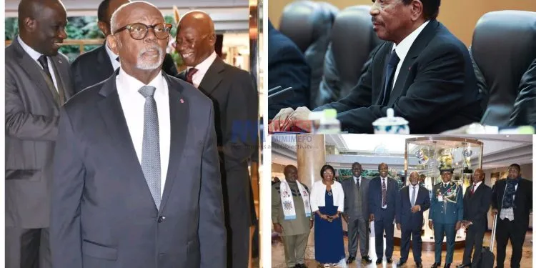 Cameroon's foreign Affairs MInister