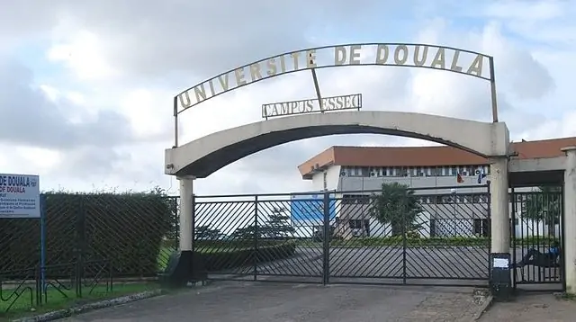 IMG 20241018 152550 5652