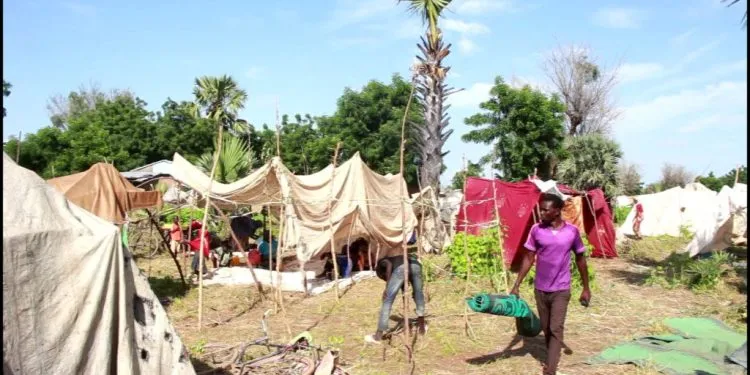 Les déplacés du Mayo-Danay victimes des inondations plongés dans la détresse : un camp de fortune sans aide suffisante