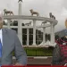 Dora Shey praises Paul Biya