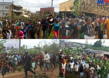 The Ambazonia struggle once enjoyed popular support
