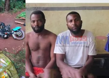Three separatists arrested in Kedjom Ketinguh by Cameroon military