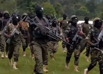 Amba Warriors