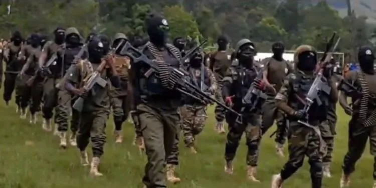 Amba Warriors