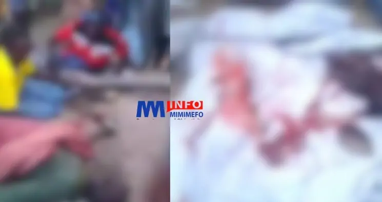 Terreur à Nldaman : Boko Haram sème la mort