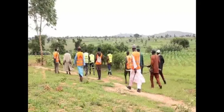 Le quotidien périlleux des comités de vigilance dans l'Extrême-Nord du Cameroun