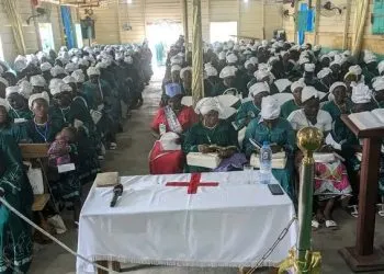 Nkambe D.O. Greenlights CBC to Hold Elections Despite Court Ruling 