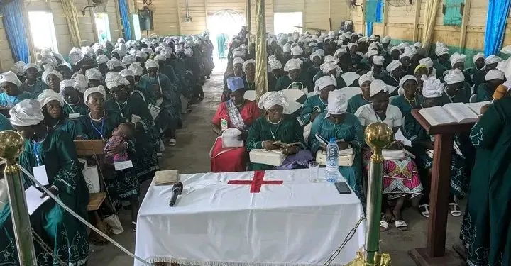 Nkambe D.O. Greenlights CBC to Hold Elections Despite Court Ruling 