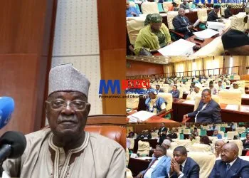 Cameroon parliament adopts bill