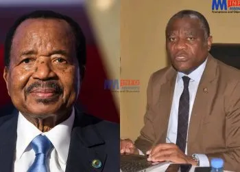 Cameroon's history of torture in the spotlight