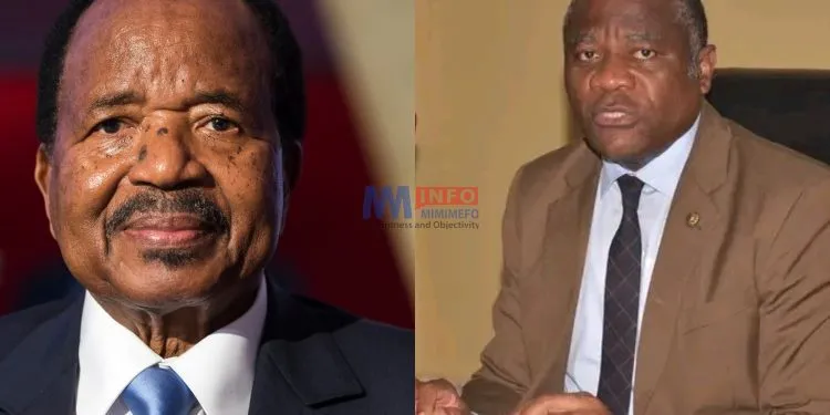 Cameroon's history of torture in the spotlight