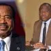 Cameroon's history of torture in the spotlight