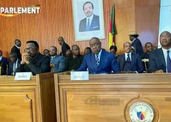 Paul Biya's portrait in Parliament