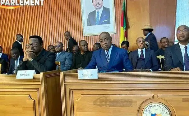 Paul Biya's portrait in Parliament