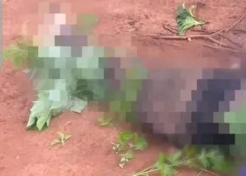 Young man killed in Mulang