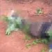 Young man killed in Mulang