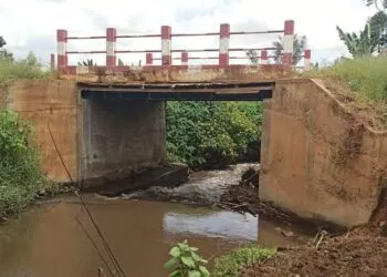 Babadjou : Le Maire offre un pont à sa population