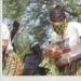 À la découverte de la danse traditionnelle Massa : Un voyage au cœur de l’héritage ancestral