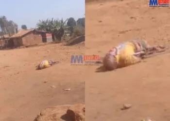 Amba fighters kill man in Pinyin