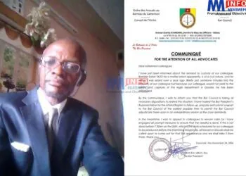 Cameroon lawyers demand release of colleague