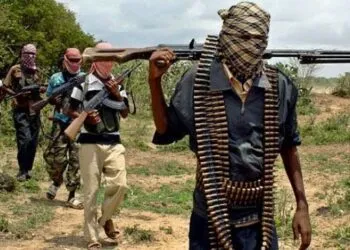 Boko Haram fighters carry arms | Photo: Getty image