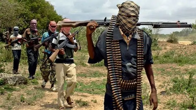 Boko Haram fighters carry arms | Photo: Getty image