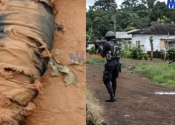 Separatist gang dismantled in Bamenda