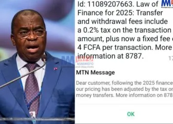 Tax on Mobile Money in Cameroon