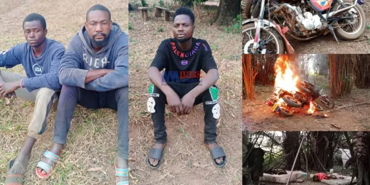 Ambazonia separatists in Bamessing arrested