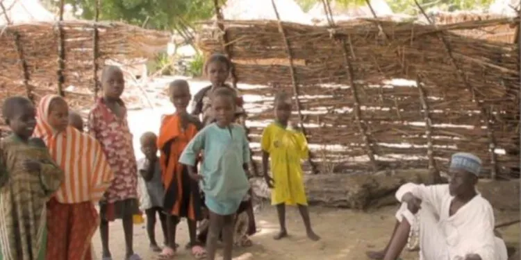 Les écoles rurales de l’Extrême-Nord du Cameroun, entre pénurie d’enseignants et insécurité rampante : l’échec des politiques publiques
