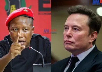 Julius Malema face-off with Elon Musk