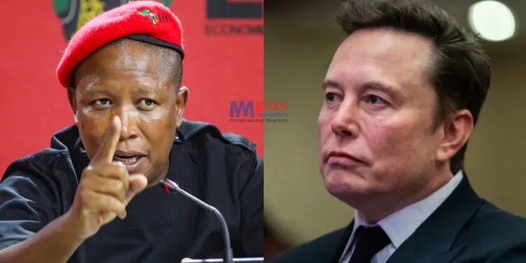 Julius Malema face-off with Elon Musk